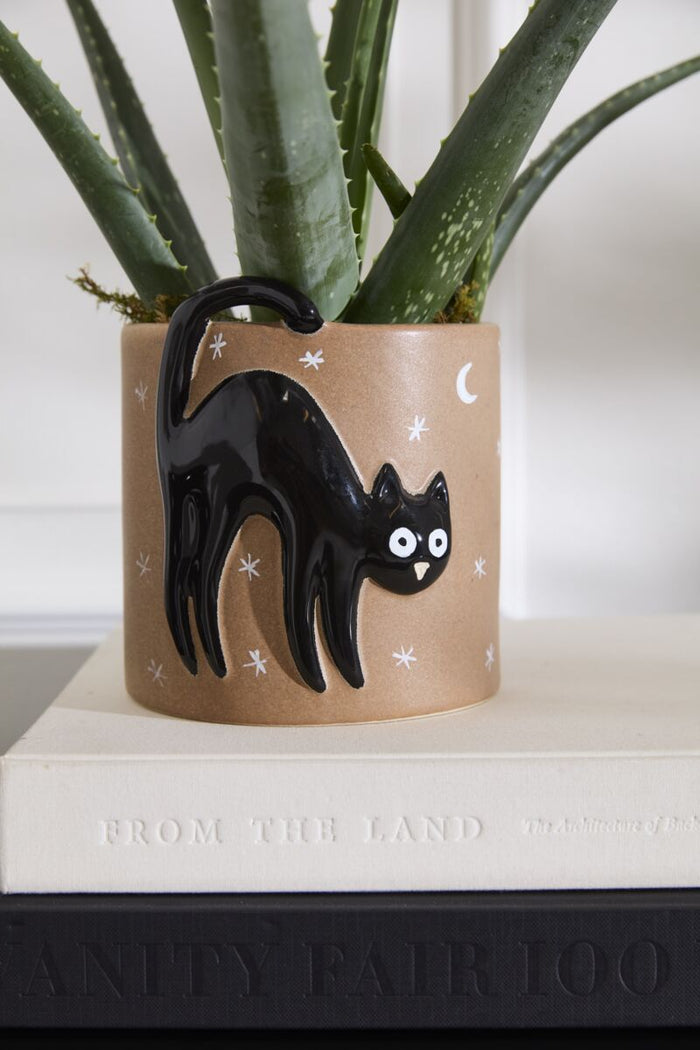 Ceramic planter with black cat design on a white surface