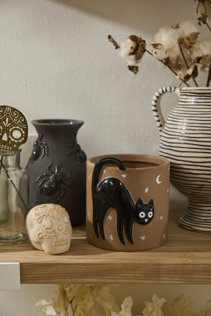 Decorative items including a black vase with a spider, a brown pot with a black cat design, and a striped pitcher on a wooden shelf.