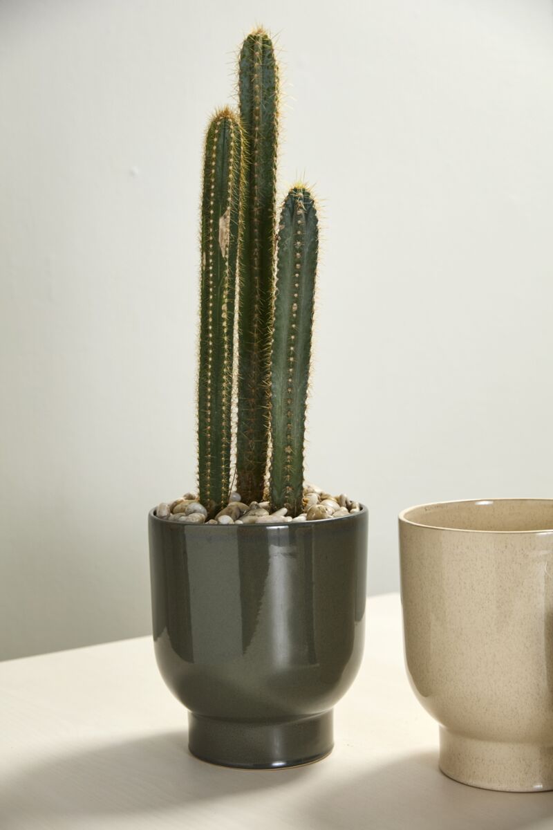 Design Shop Fischer Pot 9"x 10.5"