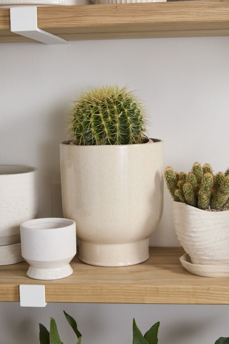 Design Shop Fischer Pot 9"x 10.5"