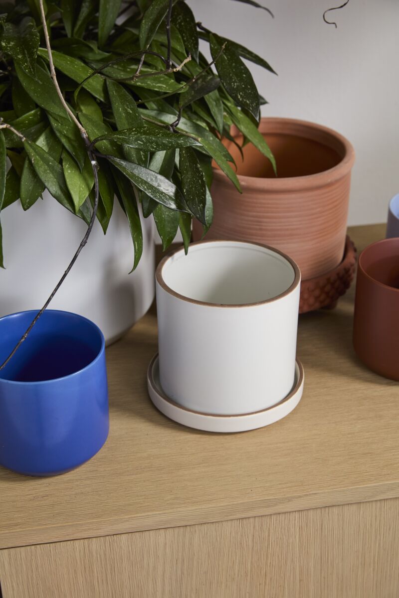 Design Shop Author Pot with Saucer 6.25"x 5.75", Set of 2