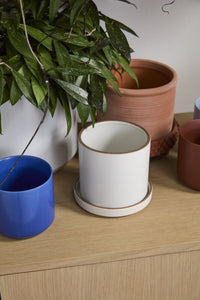 Design Shop Author Pot with Saucer 6.25"x 5.75", Set of 2