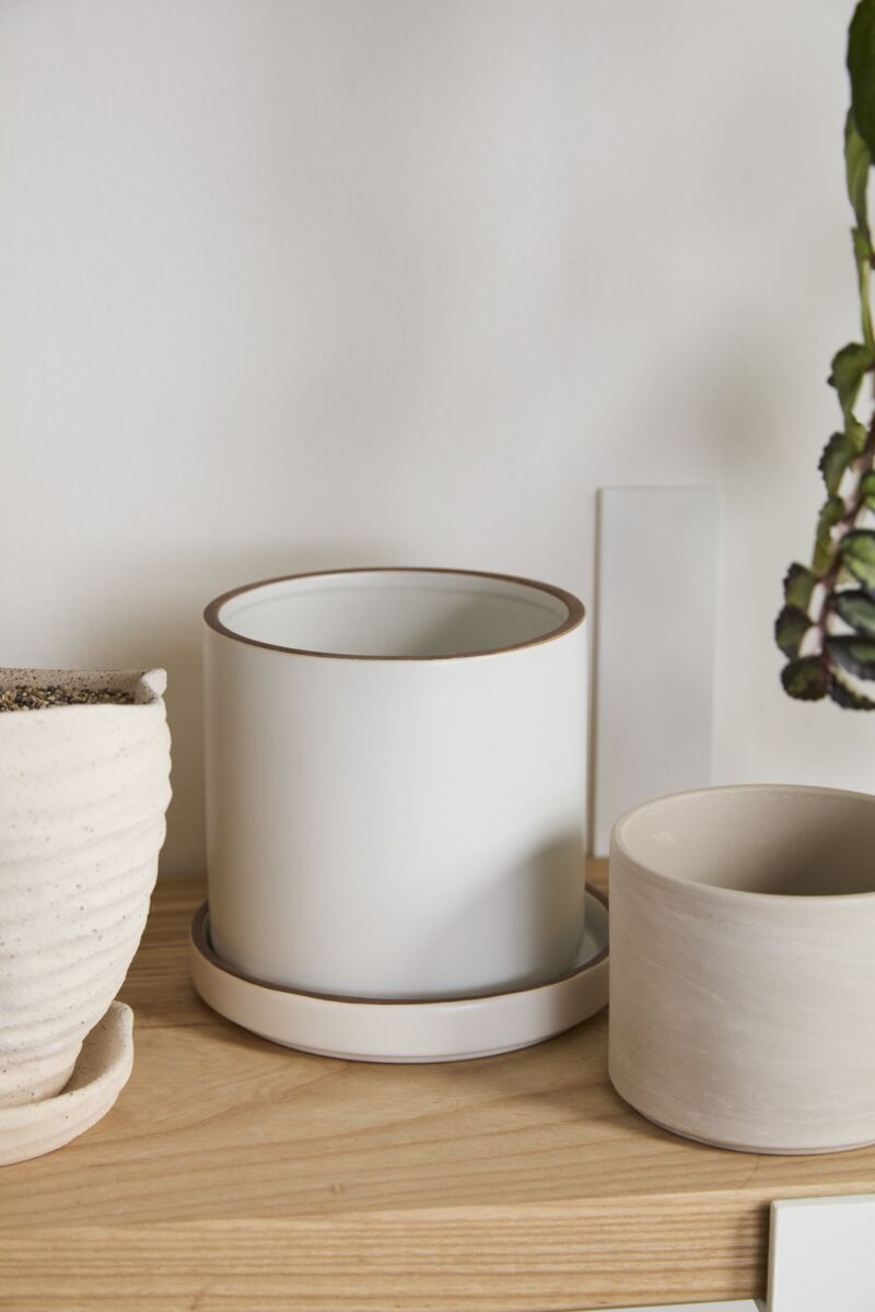 Design Shop Author Pot with Saucer 6.25"x 5.75", Set of 2