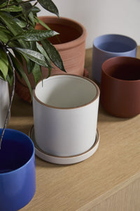 Design Shop Author Pot with Saucer 6.25"x 5.75", Set of 2