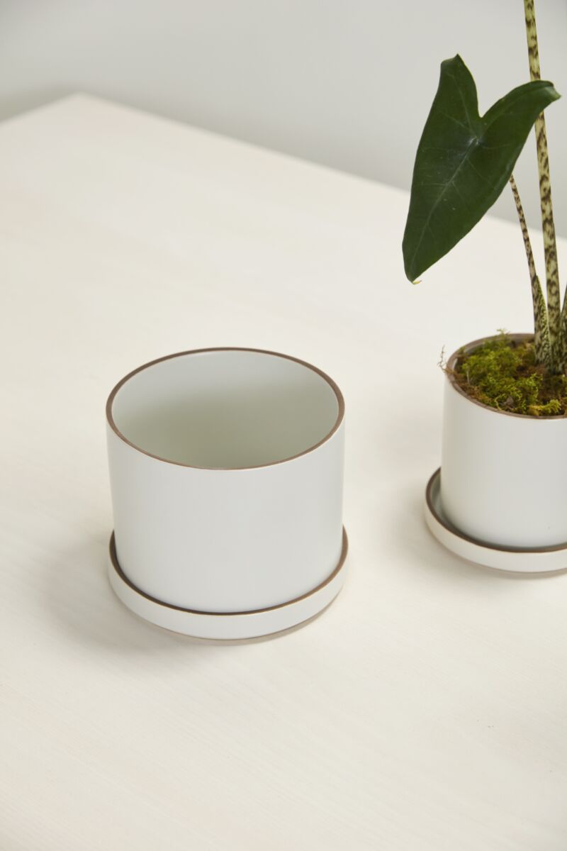 Design Shop Author Pot with Saucer 7.5"x 6", Set of 2