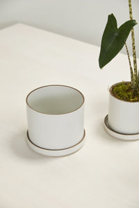 Design Shop Author Pot with Saucer 7.5"x 6", Set of 2