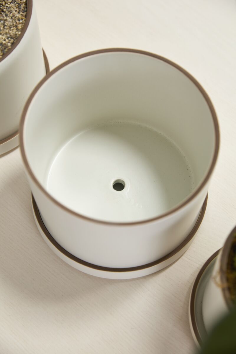 Design Shop Author Pot with Saucer 7.5"x 6", Set of 2