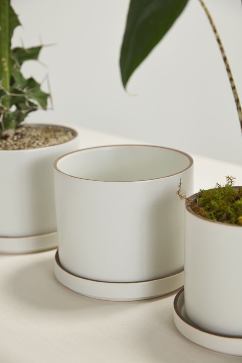 Design Shop Author Pot with Saucer 7.5"x 6", Set of 2