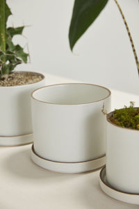 Design Shop Author Pot with Saucer 7.5"x 6", Set of 2