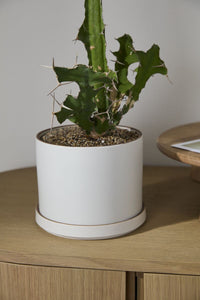 Design Shop Author Pot with Saucer 7.5"x 6", Set of 2