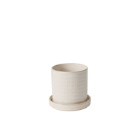 Design Shop Morse Pot with Saucer 6"x 5.5", Set of 2
