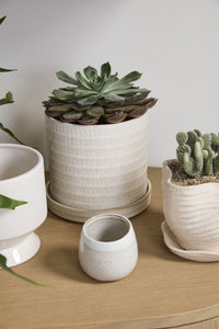 Design Shop Morse Pot with Saucer 6"x 5.5", Set of 2