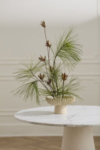 Design Shop Belden Footed Bowl10.5"x 5.5"