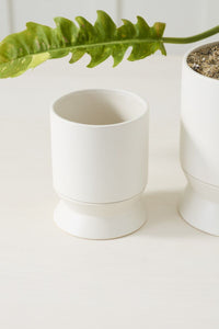 Design Shop Madison Pot with Saucer 525"x 6.75", Set of 2