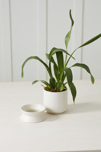 Design Shop Madison Pot with Saucer 525"x 6.75", Set of 2