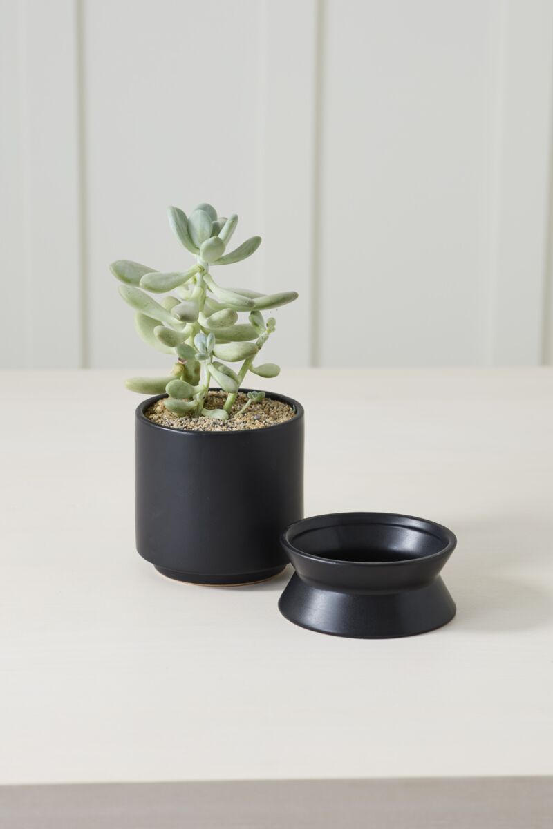 Design Shop Madison Pot with Saucer 5.25"X 6.75", Set of 2