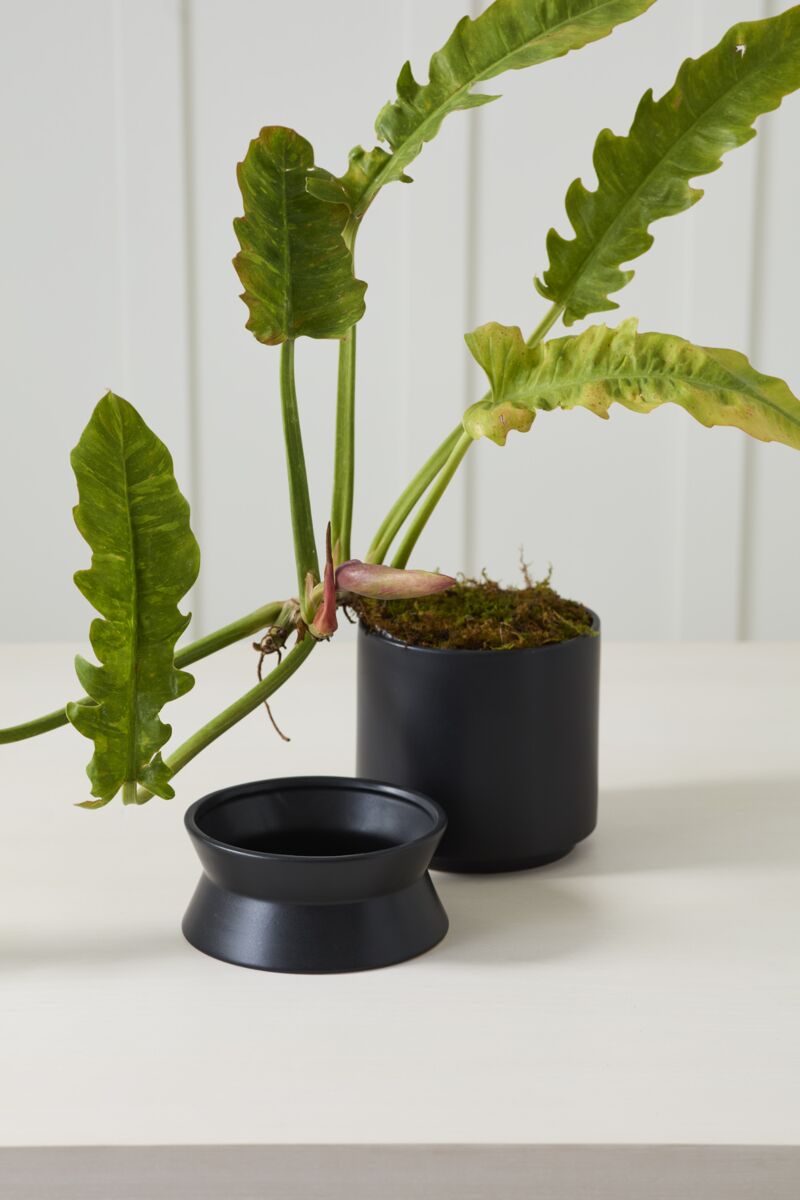 Design Shop Madison Pot with Saucer 6.75"x 8.75"