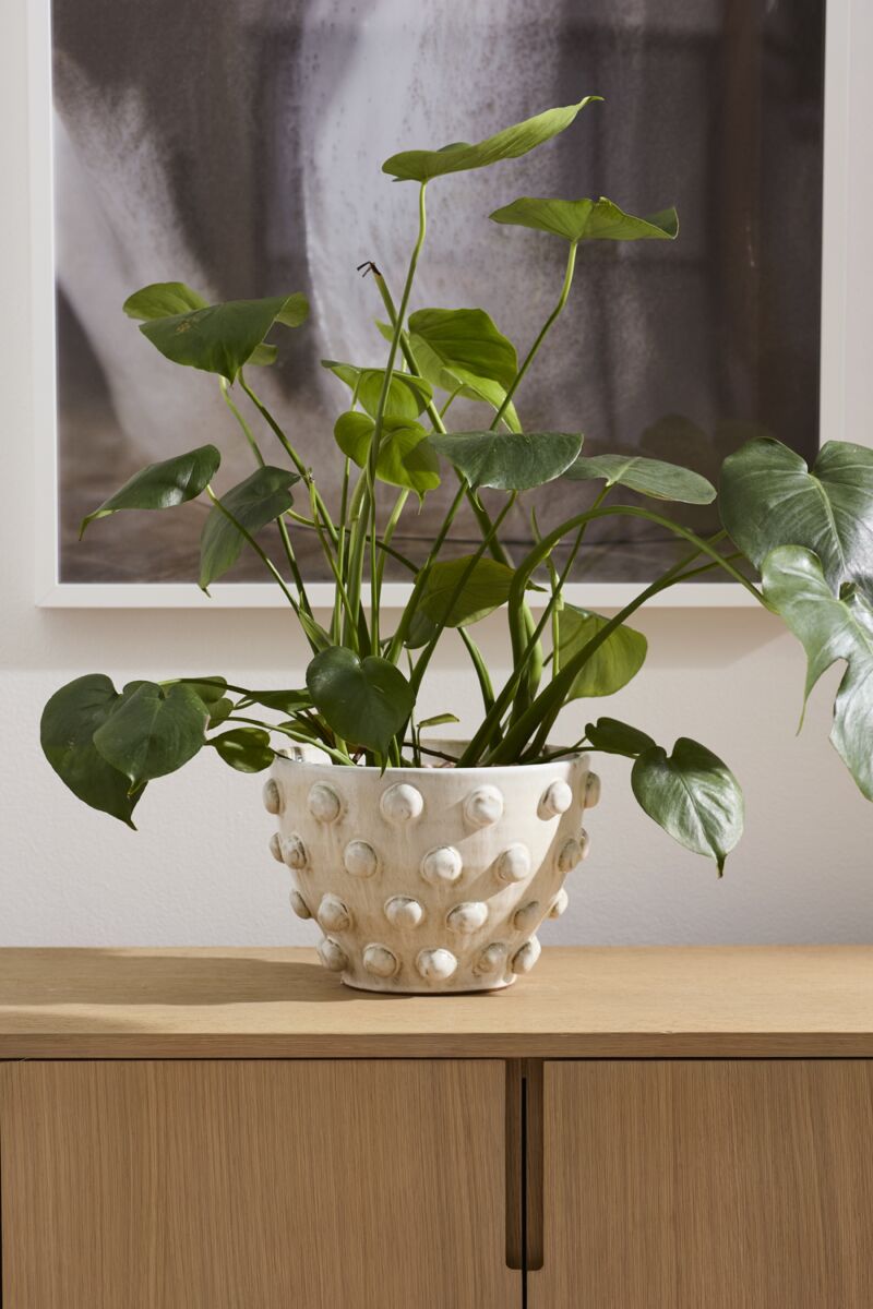 Design Shop Hanover Pot 11"x 7.5"