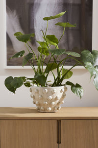 Design Shop Hanover Pot 11"x 7.5"