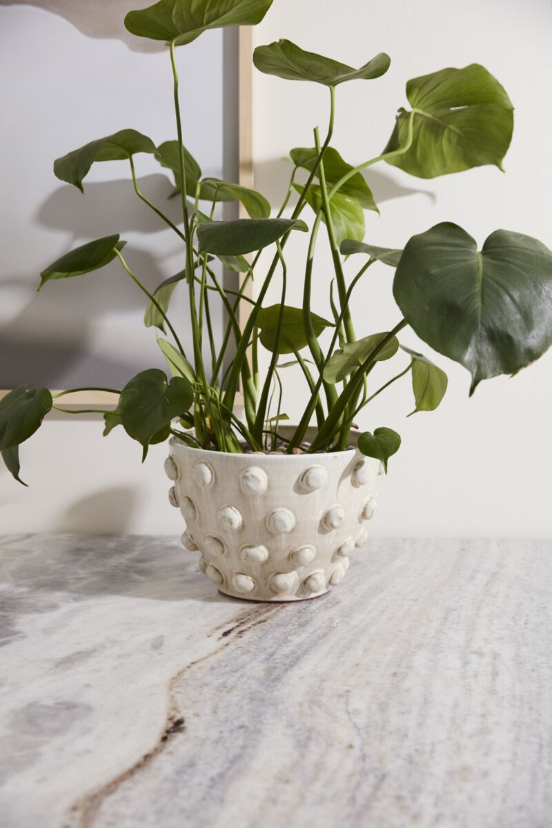 Design Shop Hanover Pot 11"x 7.5"