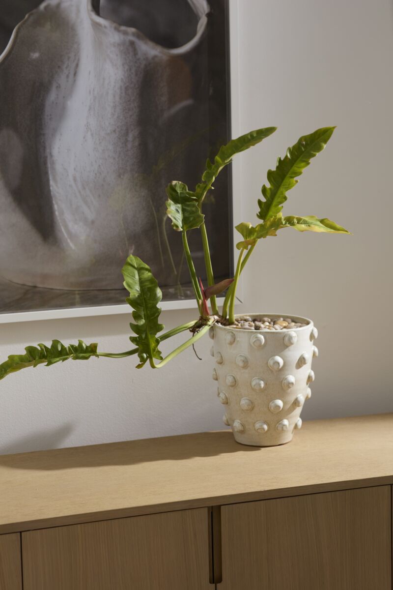 Design Shop Hanover Pot 10.25"x 11.5"