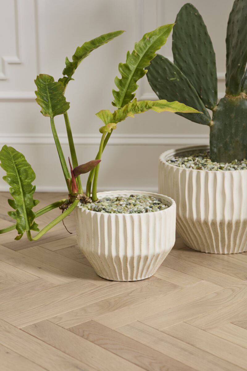 Design Shop Cameron Pot 10.5"x 7.75"