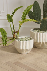 Design Shop Cameron Pot 10.5"x 7.75"