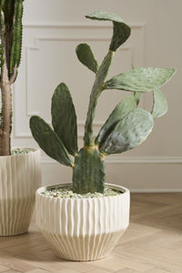 Design Shop Cameron Pot 14"x 10.5"