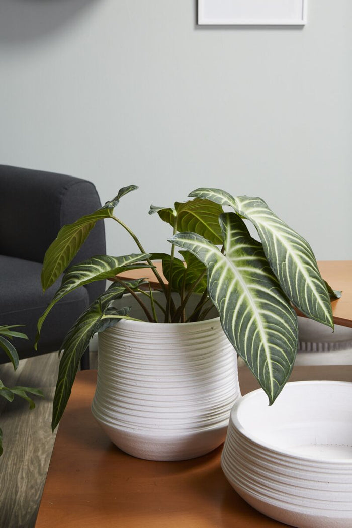 Design Shop White Offshore Collection Pot, 9.5" X 9".