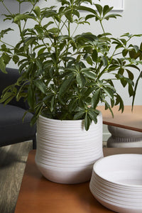 Design Shop White Offshore Collection Pot, 10.75" X 10.25".