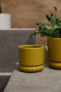 Design Shop Fara Pot 5.25"x 5", Set of 2