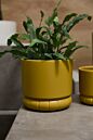 Design Shop Fara Pot 7"x 6.5"