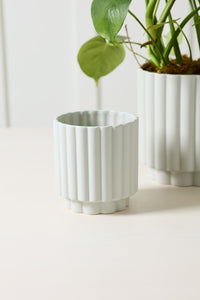 Design Shop Carmen Pot 5.5"x 6", Set of 2