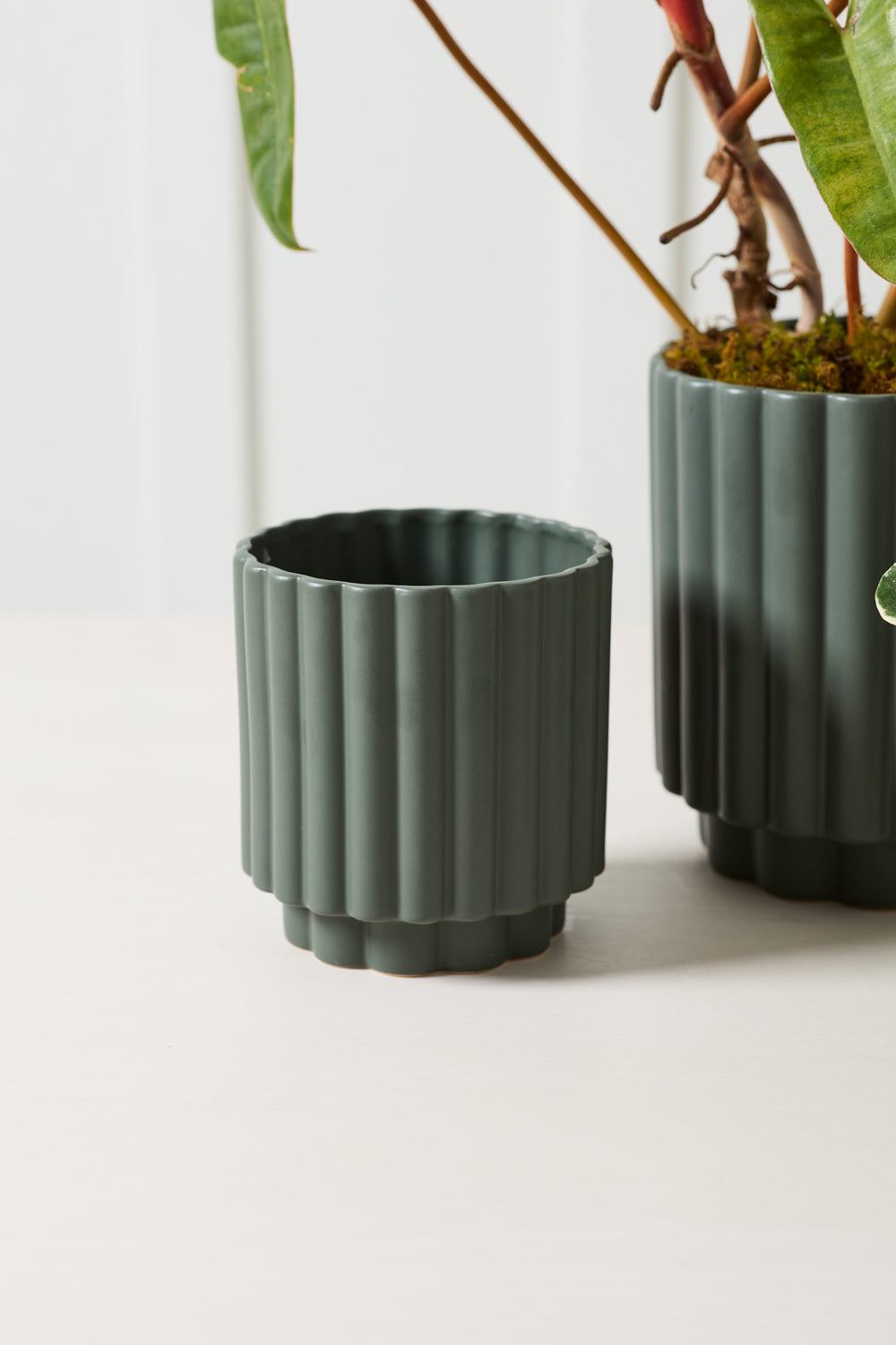 Design Shop Carmen Pot 5.5"x 6", Set of 2