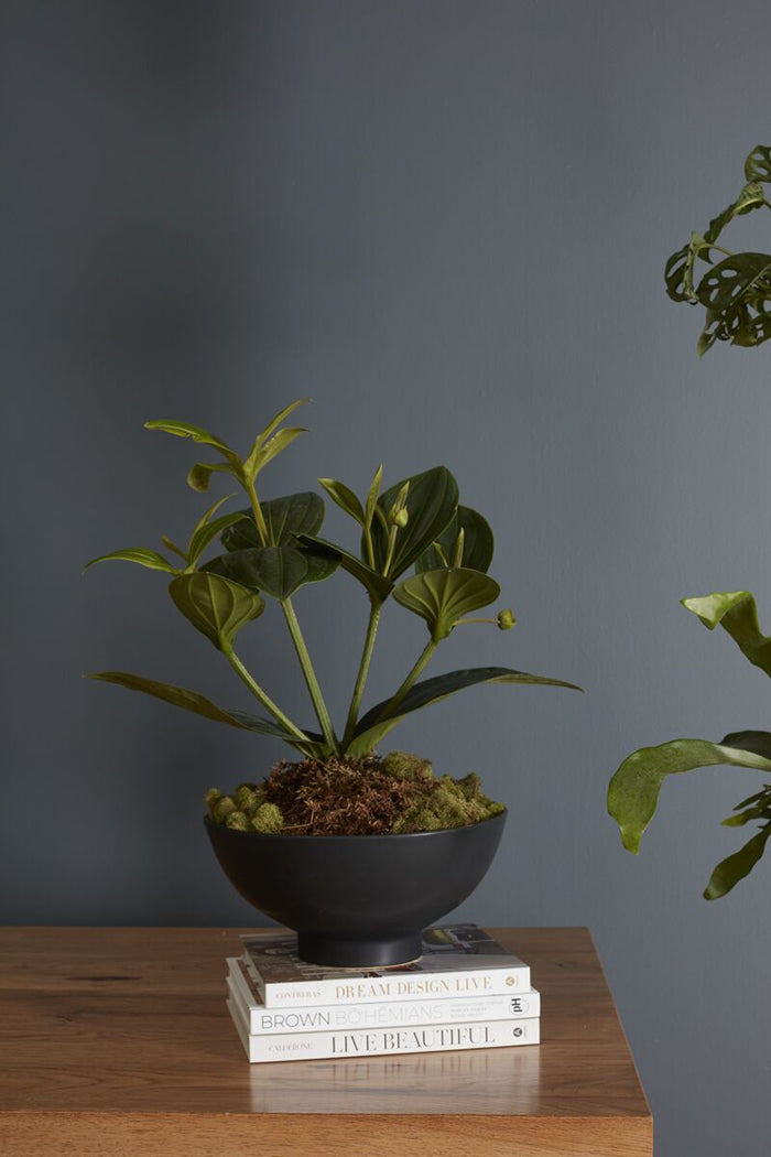 Artificial plant in a black pot on top of books against a gray wall