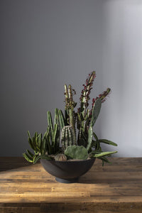 Design Shop Fortis Bowl 16.5"x 7.75"