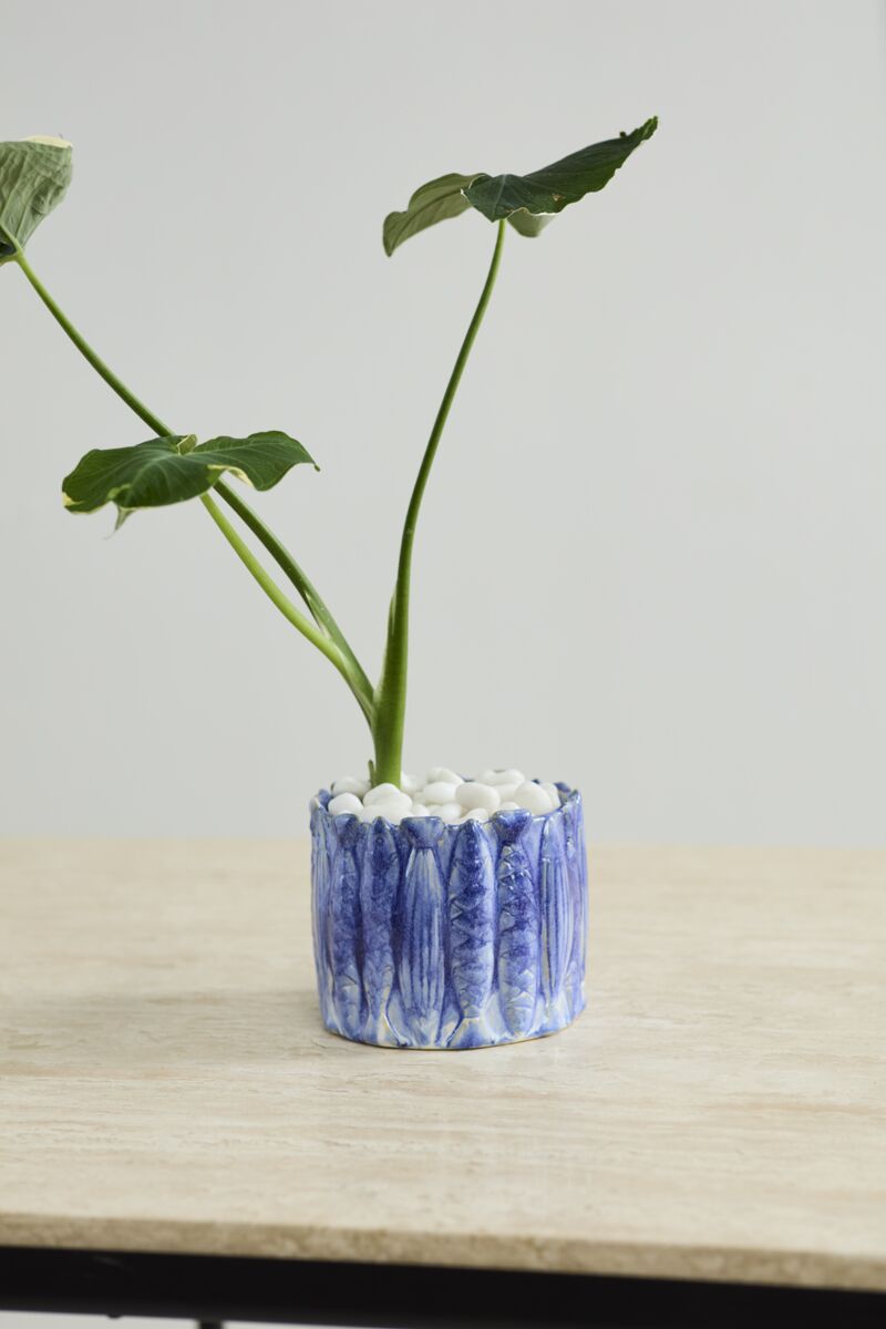 Design Shop Amalfi Pot 6"x 5"