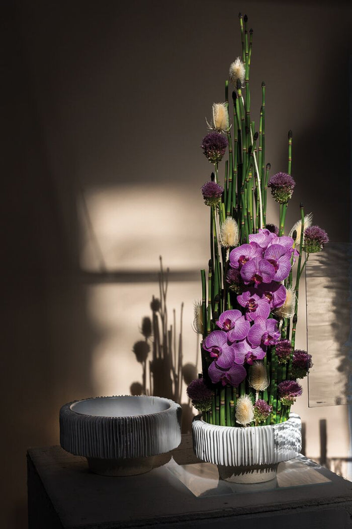 Decorative arrangement of purple orchids and green stems on a reflective surface with a dark background