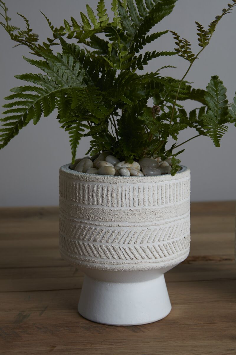 Design Shop White Umbra Collection, 5.5" X 6.25".
