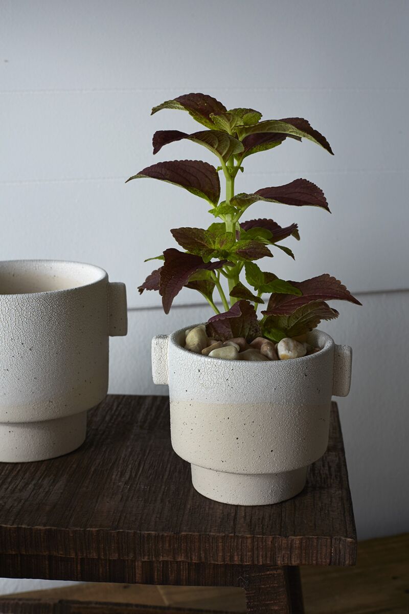 Design Shop White Milton Pot, 5.5" X 4.25".