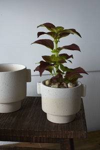 Design Shop White Milton Pot, 5.5" X 4.25".