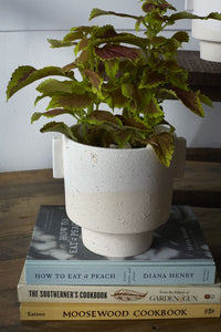 Design Shop White Milton Pot, 7.25" X 6.5".