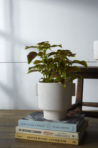 Design Shop White Milton Pot, 7.25" X 6.5".