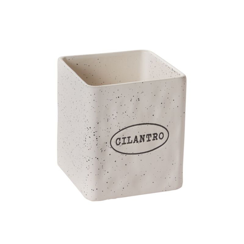Design Shop Aroma Pot 4.75" Cilantro