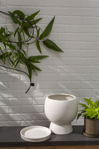 Design Shop White Bosky Pot, 9" X 10.25".
