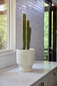 Design Shop Elliott Pot 9.75"x 11"