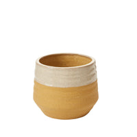Design Shop Yellow Altamira Pot, 5.75" X 5.25".