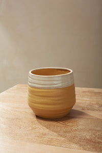 Design Shop Yellow Altamira Pot, 5.75" X 5.25".