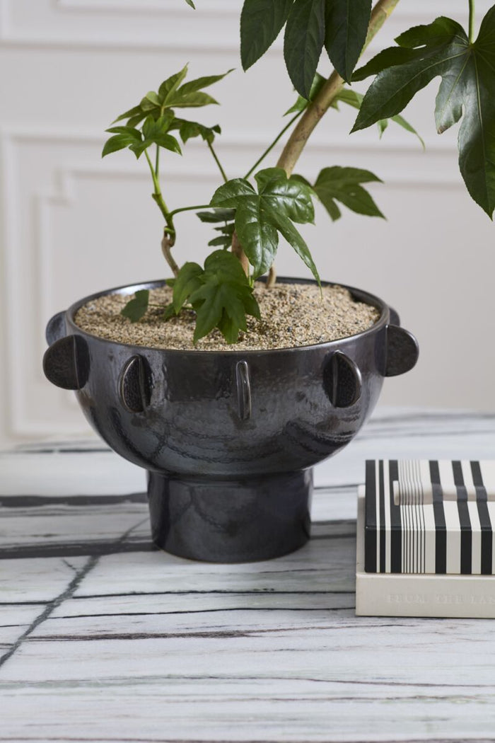 Black decorative pot with a plant on a wooden surface
