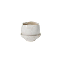 Design Shop Iona Pot with Saucer 7.25"x 6.5"
